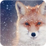 fox wallpaper android application logo